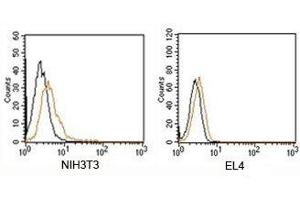 FACS testing of Rabbit IgG isotype control antibody PE conjugate on mouse samples. (Kaninchen IgG isotype control (PE))