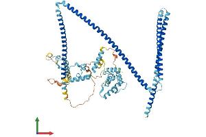 Protein Structure (PS) image for Coiled-Coil Domain Containing 22 (CCDC22) (AA 1-627) protein (His tag) (ABIN7553095)