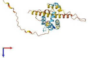 CABP7 Protein (AA 1-215) (His tag)