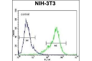 KI Antibody (C-term) (ABIN654471 and ABIN2844205) flow cytometric analysis of NIH-3T3 cells (right histogram) compared to a negative control cell (left histogram). (KIAA1609 Antikörper  (C-Term))