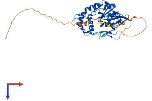 Heparan Sulfate (Glucosamine) 3-O-Sulfotransferase 6 (HS3ST6) (AA 1-342) protein (His tag)