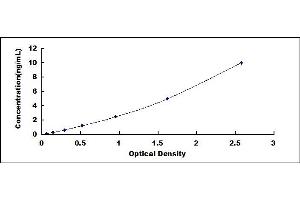 Typical standard curve (SLC40A1 ELISA Kit)