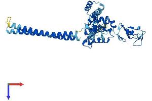 RMND5A Protein (AA 1-391) (His tag)