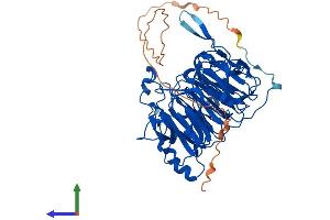 Protein Structure (PS) image for Regulator of Chromosome Condensation 2 (RCC2) (AA 1-522) protein (His tag) (ABIN7551341)