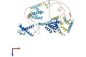 PRPF3 Protein (AA 1-683) (His tag)