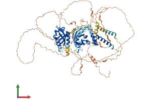 Protein Structure (PS) image for Neuronal PAS Domain Protein 4 (NPAS4) (AA 1-802) protein (His tag) (ABIN7549898)