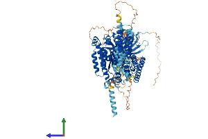 Protein Structure (PS) image for Inositol Polyphosphate-4-Phosphatase, Type II, 105kDa (INPP4B) (AA 1-924) protein (His tag) (ABIN7564080)