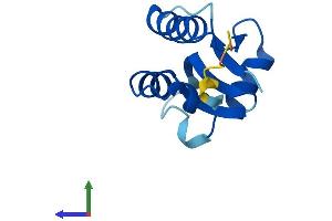 AlphaFold protein structure predicition of Mouse Recombinant Sh3bgrl2 Protein, UniprotID Q8BG73