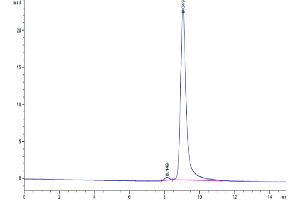 Size-exclusion chromatography-High Pressure Liquid Chromatography (SEC-HPLC) image for Interleukin 12 beta (IL12B) (AA 23-328) protein (His tag) (ABIN7275395)
