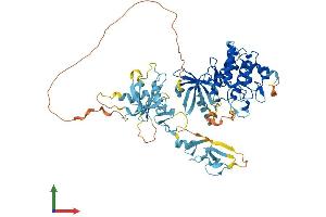 Protein Structure (PS) image for LIM Domain Kinase 1 (LIMK1) (AA 1-647) protein (His tag) (ABIN7563436)