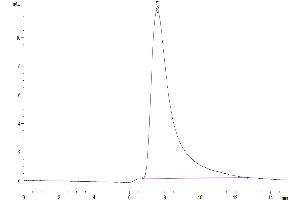 Size-exclusion chromatography-High Pressure Liquid Chromatography (SEC-HPLC) image for Interleukin 5 (IL5) (AA 20-134) protein (His-Avi Tag,Biotin) (ABIN7274955)