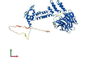 Protein Structure (PS) image for Kelch-Like ECH-Associated Protein 1 (KEAP1) (AA 1-624) protein (His tag) (ABIN7554330)