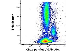 Flow cytometry surface staining pattern of human peripheral whole blood stained using anti-human CD1d (51. (CD1d Antikörper)