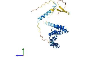 Protein Structure (PS) image for Tetratricopeptide Repeat Domain 33 (TTC33) (AA 1-262) protein (His tag) (ABIN7544759)