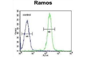 TTC9C Antibody (N-term) flow cytometric analysis of Ramos cells (right histogram) compared to a negative control cell (left histogram). (TTC9C Antikörper  (N-Term))