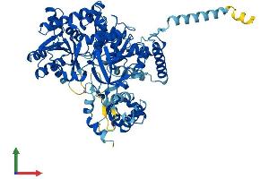 Protein Structure (PS) image for Acyl-CoA Synthetase Long-Chain Family Member 5 (ACSL5) (AA 1-683) protein (His tag) (ABIN7564607)