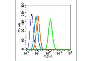 HL-60 cells probed with Insulin Receptor alpha Antibody, unconjugated  at 1:100 dilution for 30 minutes compared to control cells (blue) and isotype control (orange)