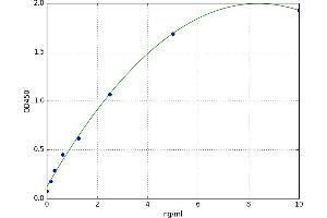 Cytochrome C Oxidase Subunit 3 (COX-3) ELISA Kit