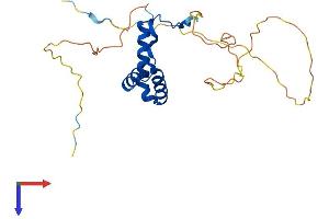SOX15 Protein (AA 1-231) (His tag)