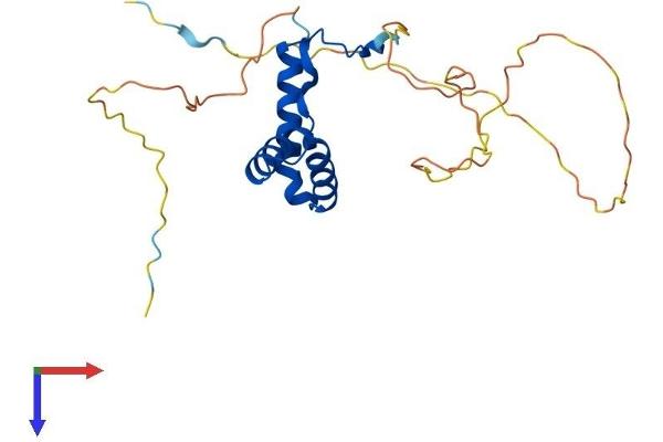 SOX15 Protein (AA 1-231) (His tag)