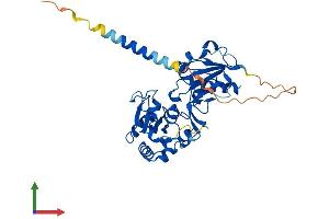 Protein Structure (PS) image for Fucosyltransferase 5 (Alpha (1,3) Fucosyltransferase) (FUT5) (AA 1-374) protein (His tag) (ABIN7547898)