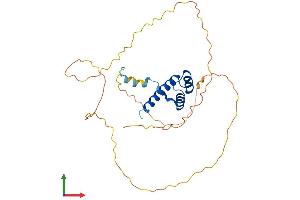 Protein Structure (PS) image for Homeobox A9 (HOXA9) (AA 1-271) protein (His tag) (ABIN7562779)
