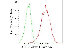 Flow cytometric analysis of GNB3 expression in HepG2 cells using GNB3 antibody (ABIN7798820), 1:2,000).