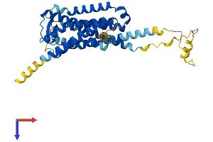 GPR85 Protein (AA 1-370) (His tag)