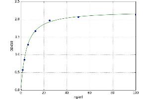 Neuroglobin (NGB) ELISA Kit