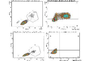 Anti-Human IL-6 Antibody - Flow Cytometry Human PBMCs were stimulated with 1ug/mL LPS and a transport inhibitor for 4-5 hours. (IL-6 Antikörper)