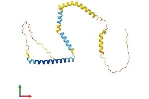 Protein Structure (PS) image for Tumor Protein D52-Like 2 (TPD52L2) (AA 1-220) protein (His tag) (ABIN7560764)
