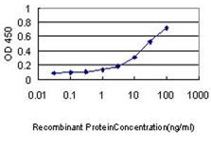 Detection limit for recombinant GST tagged KHK is approximately 0. (Ketohexokinase Antikörper  (AA 1-298))