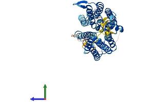 Protein Structure (PS) image for G Protein-Coupled Receptor 172A (GPR172A) (AA 1-445) protein (His tag) (ABIN7555367)