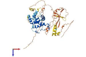 NRF1 Protein (AA 1-503) (His tag)