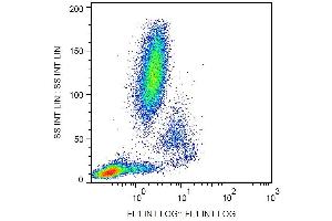 Surface staining of human peripheral blood cells with anti-CD11c (BU15) FITC. (CD11c Antikörper  (FITC))