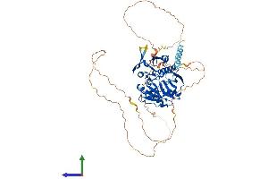 Protein Structure (PS) image for Synapsin III (SYN3) (AA 1-580) protein (His tag) (ABIN7544059)