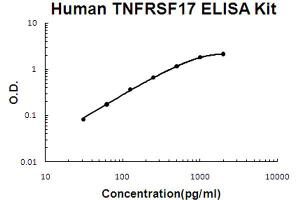 Human TNFRSF17/BCMA Accusignal ELISA Kit Human TNFRSF17/BCMA AccuSignal ELISA Kit standard curve. (BCMA ELISA Kit)