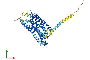 Protein Structure (PS) image for Formyl Peptide Receptor 3 (FPR3) (AA 1-351) protein (His tag) (ABIN7562205)