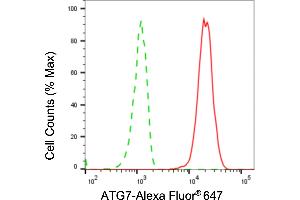 Flow cytometric analysis of ATG7 expression in HepG2 cells using ATG7 antibody (ABIN7797675), 1:2,000). (Rekombinanter ATG7 Antikörper)