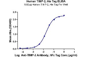 Immobilized Human Human TIMP-2, His Tag at 0. (TIMP2 Protein (His tag))