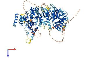 Family with Sequence Similarity 91, Member A1 (FAM91A1) (AA 1-837) protein (His tag)