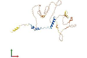 AlphaFold protein structure predicition of Mouse Recombinant Nfya Protein, UniprotID P23708 (NFYA Protein (AA 1-346) (His tag))