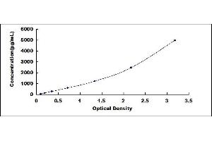 Typical standard curve (WNT16 ELISA Kit)