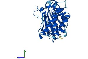 AlphaFold protein structure predicition of Mouse Recombinant Tssk6 Protein, UniprotID Q925K9