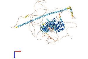 MAP4K6 Protein (AA 1-1308) (His tag)