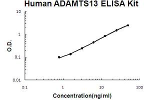 Human ADAMTS13 Accusignal ELISA Kit Human ADAMTS13 AccuSignal ELISA Kit standard curve. (ADAMTS13 ELISA Kit)