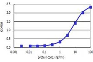 RBP4 (Human) Matched Antibody Pair