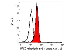 anti-Bromodomain Containing 2 (BRD2) (AA 675-725) antibody