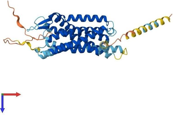 SSTR2 Protein (AA 1-369) (His tag)