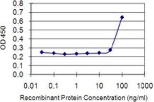 Detection limit for recombinant GST tagged ETV3 is 10 ng/ml as a capture antibody. (ETV3 Antikörper  (AA 1-143))